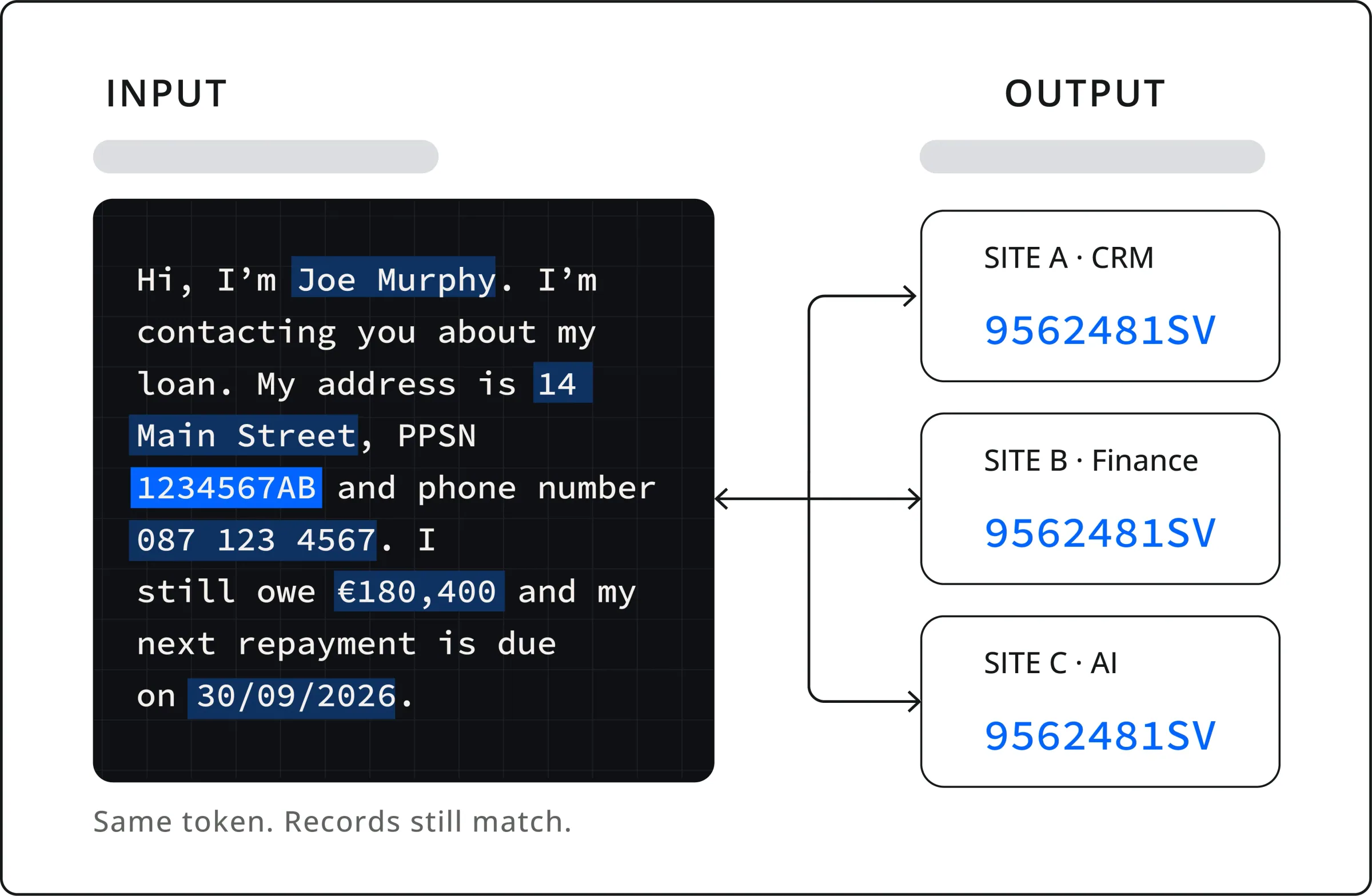 The same protected token consistent across CRM, finance and AI systems, so records still match
